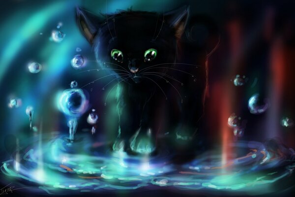 A picture of a black kitten playing with water