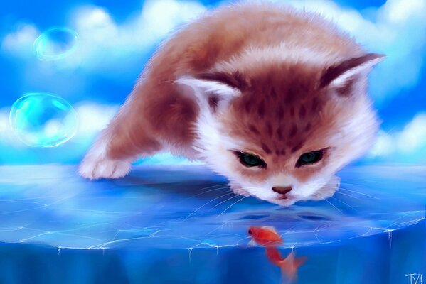 Art kitten looks at the fish through the ice