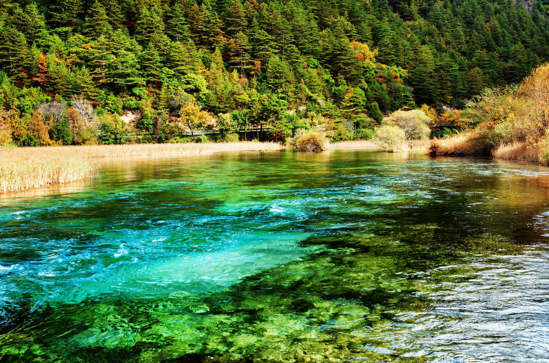 jiuzhaigou park narodowy chiny rzeka park las natura