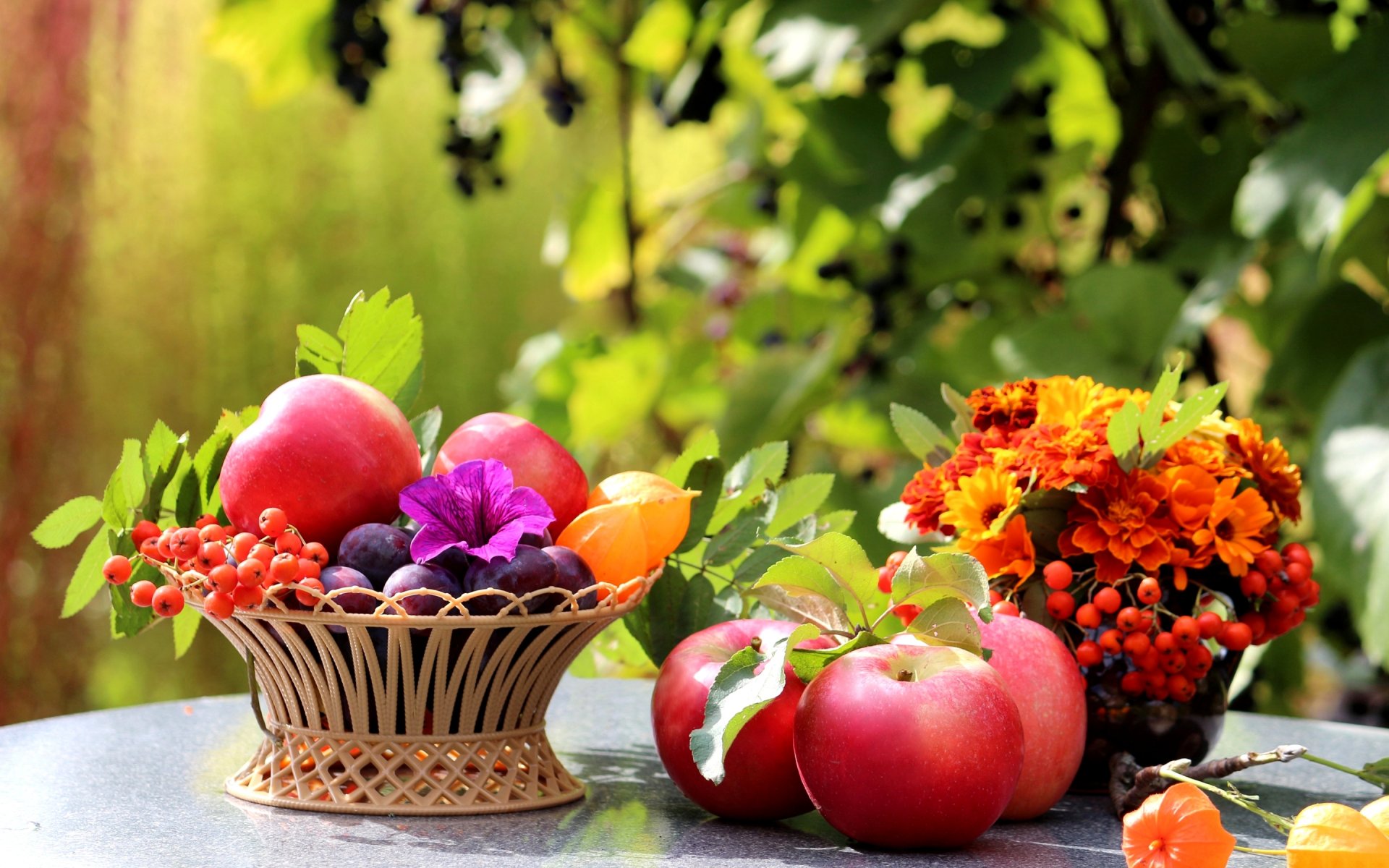 table panier fruits pommes prunes rowan fleurs feuilles nature morte