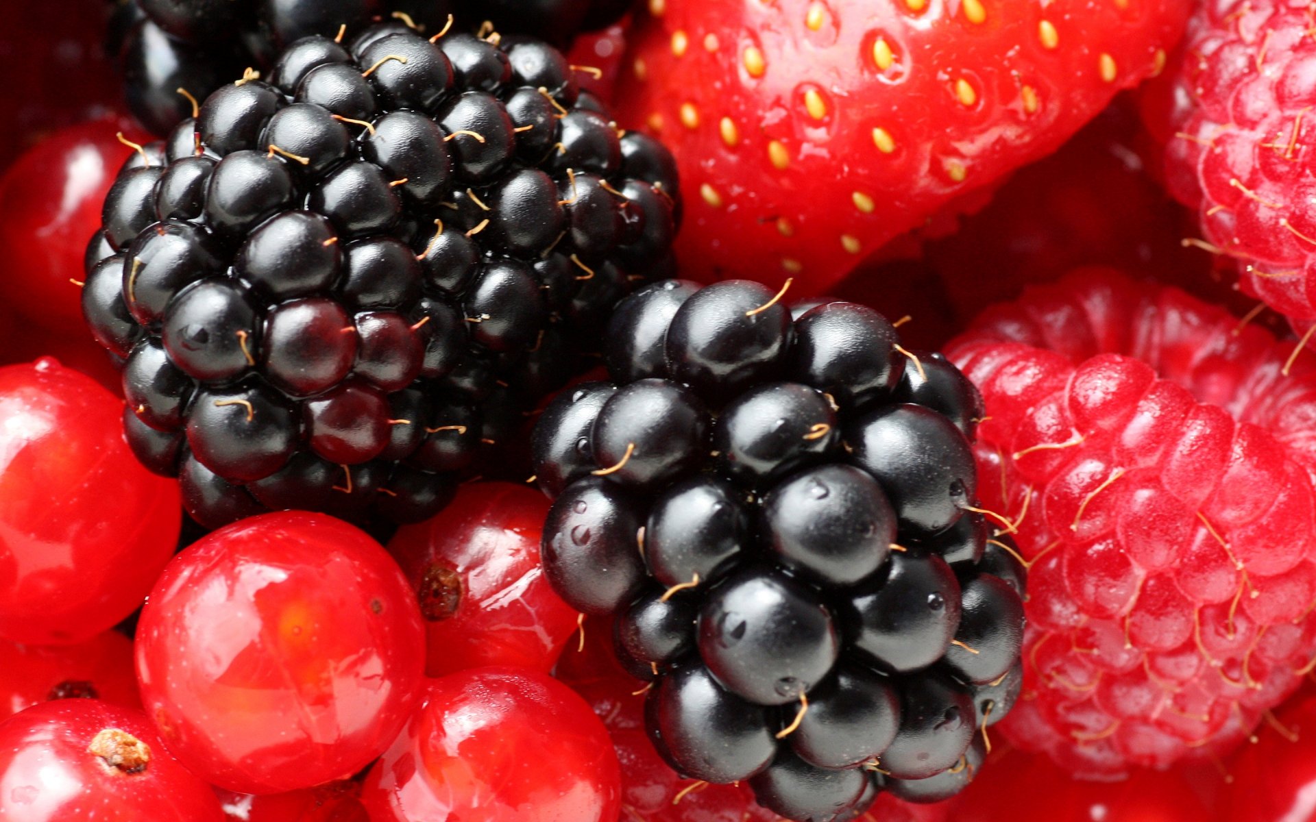 berry raspberry blackberry . currants strawberry