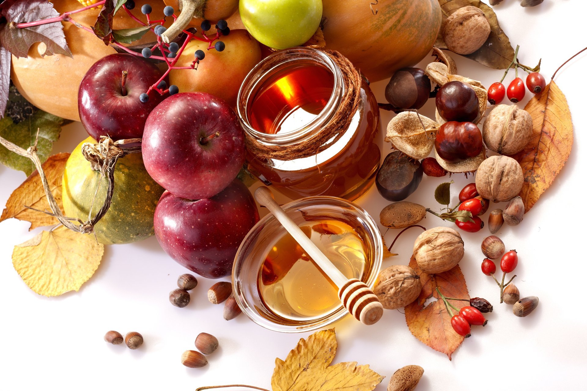 honey jar bowl spoon leaves apples pear fruits vegetables nuts chestnut dog rose food autumn