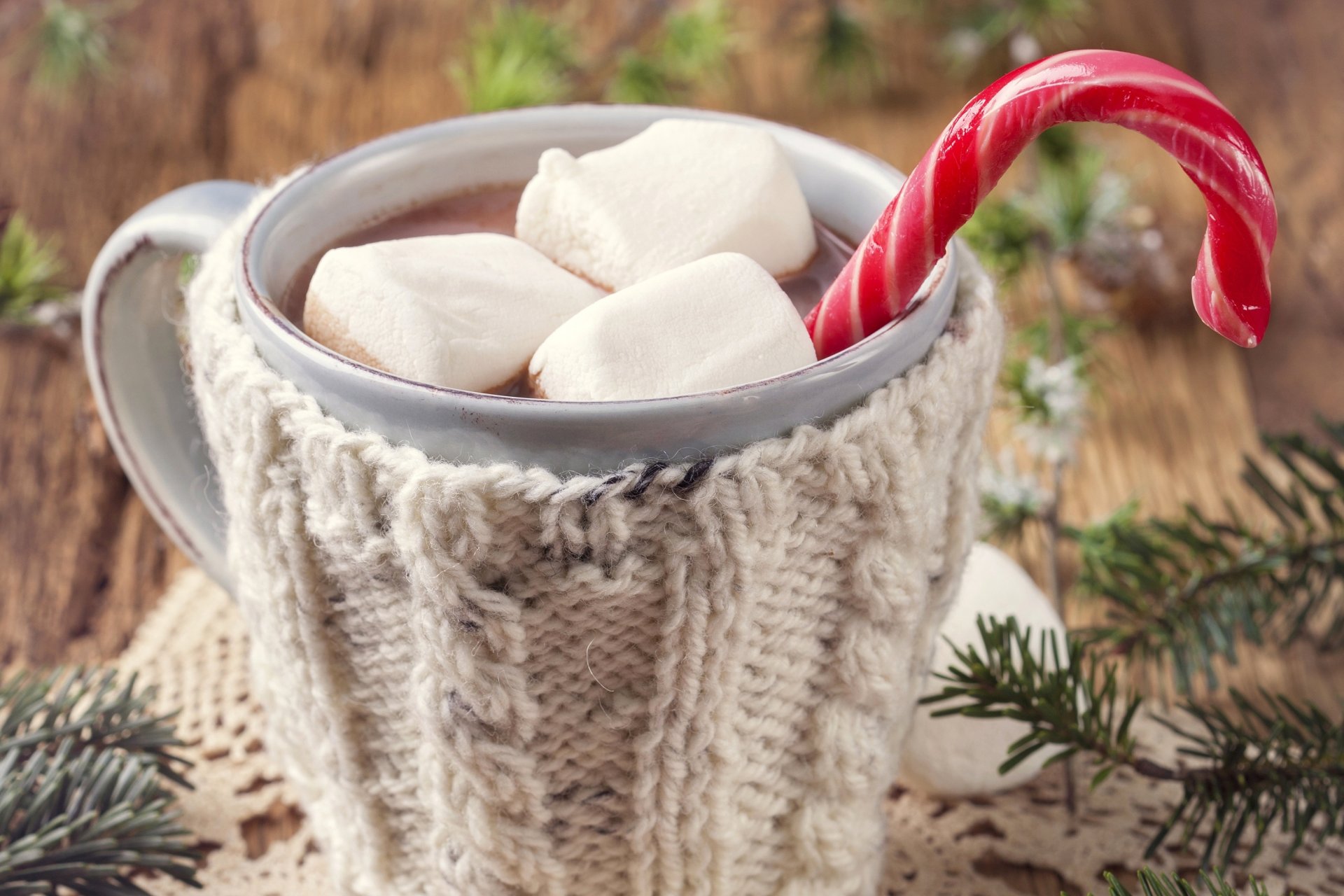 marshmallow candy marshmallows lollipop cane sticks food cup cocoa branches spruce winter new year christma