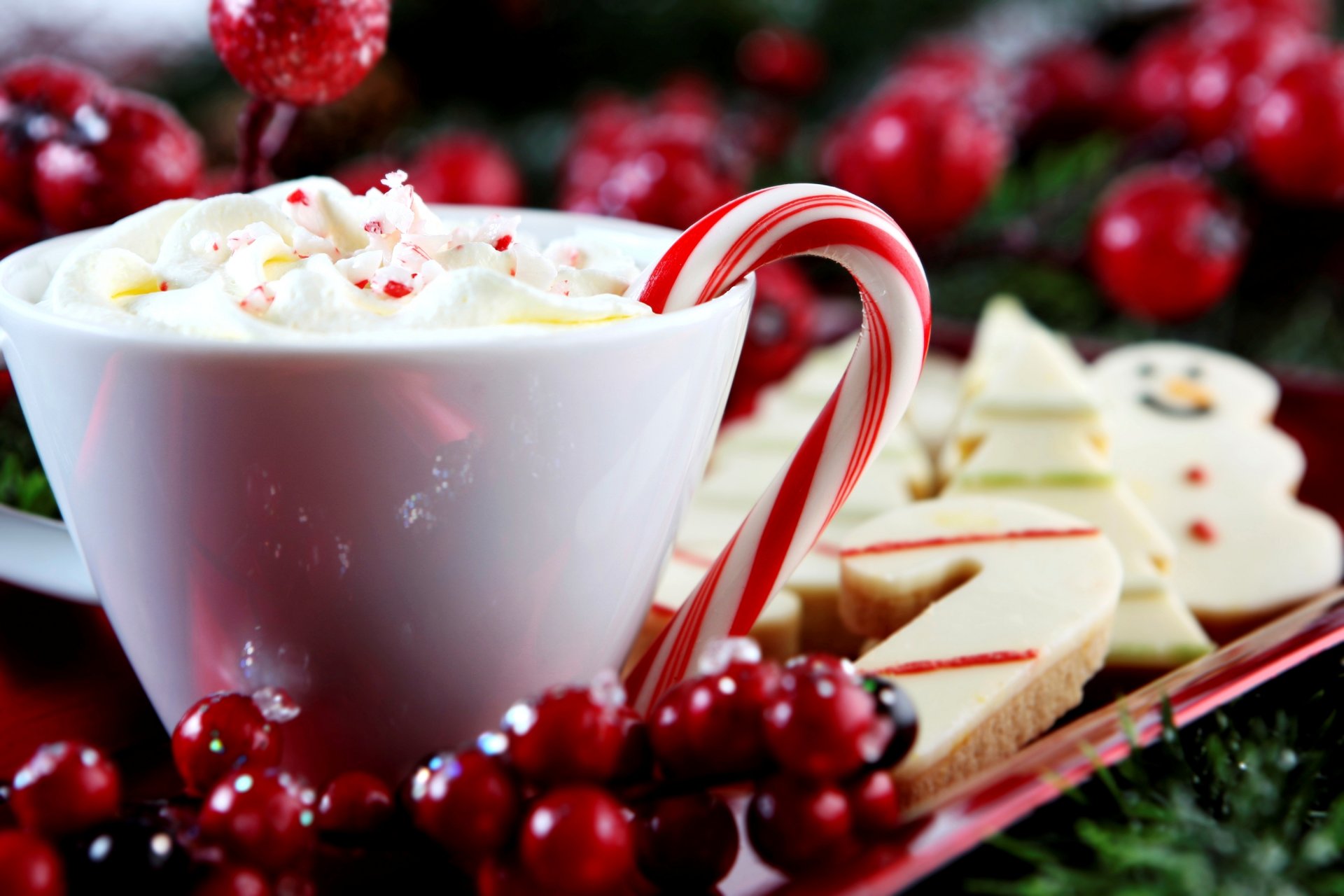 tasse trinken sahne lutscher süßigkeit stock zauberstab kekse backen stechpalme stechpalme feiertage winter neujahr weihnachten