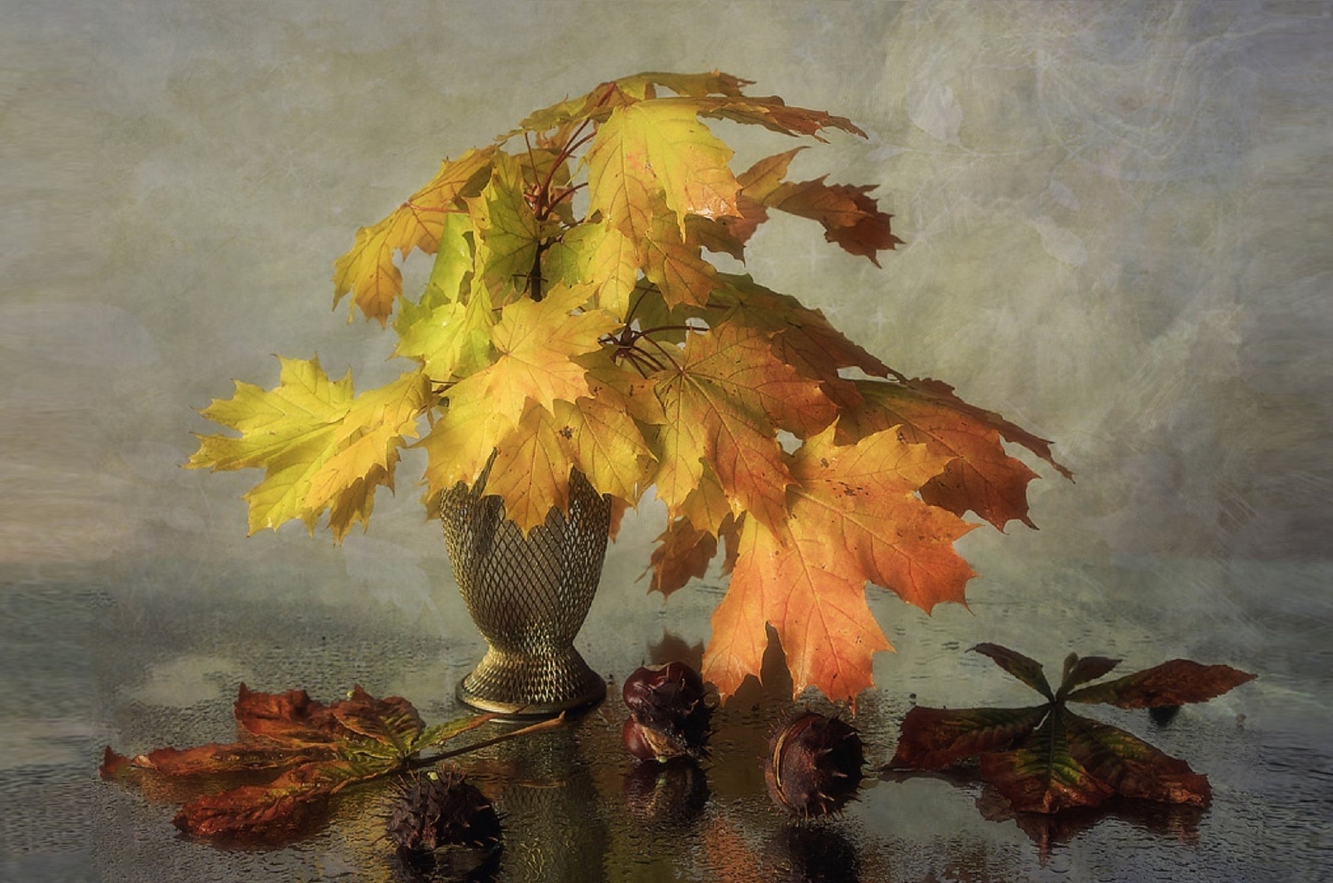 lumière d automne feuilles d automne verre humide irina prikhodko nature morte châtaignes