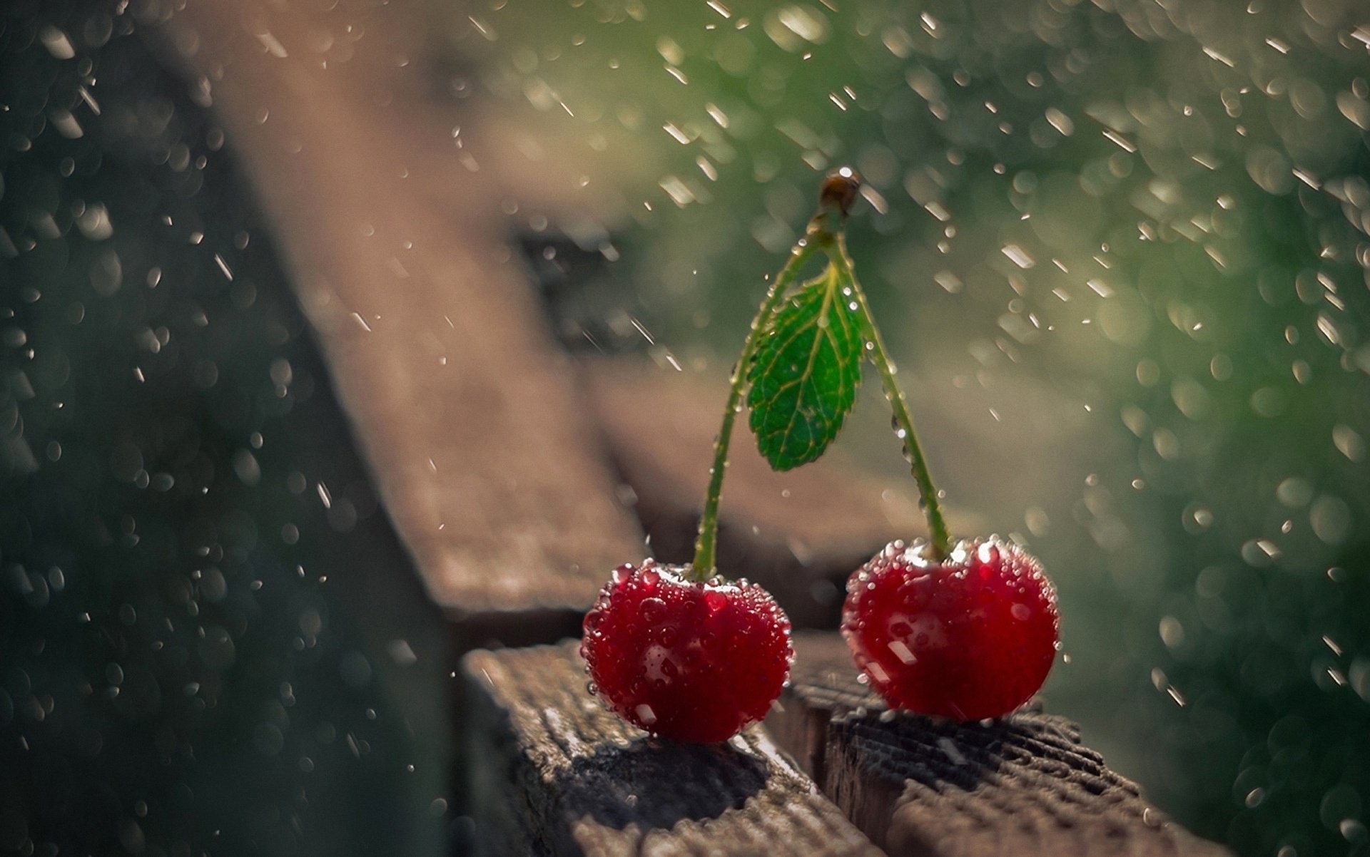 cereza lluvia macro