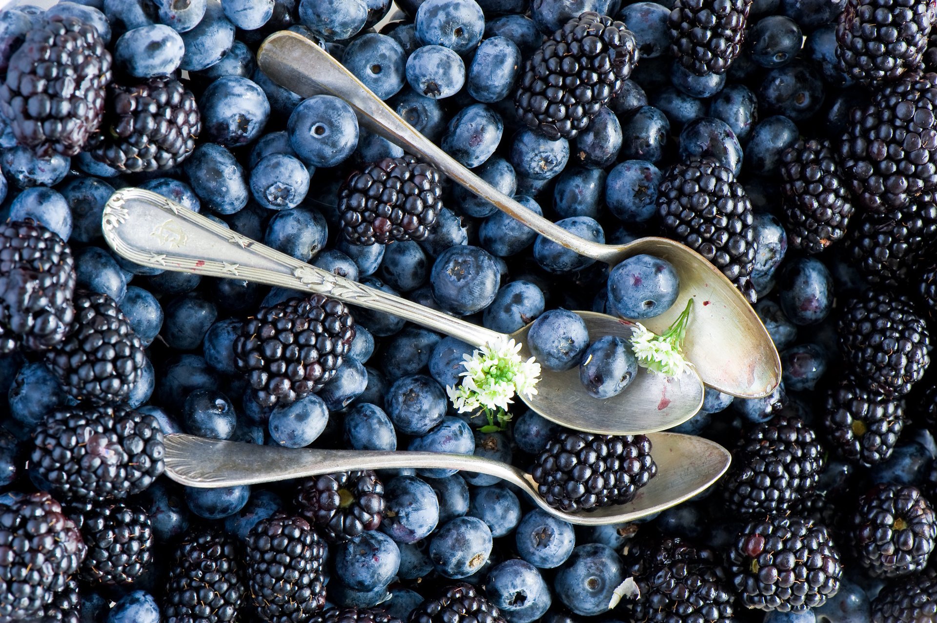 blueberries blackberries blueberries spoons berries anna verdina