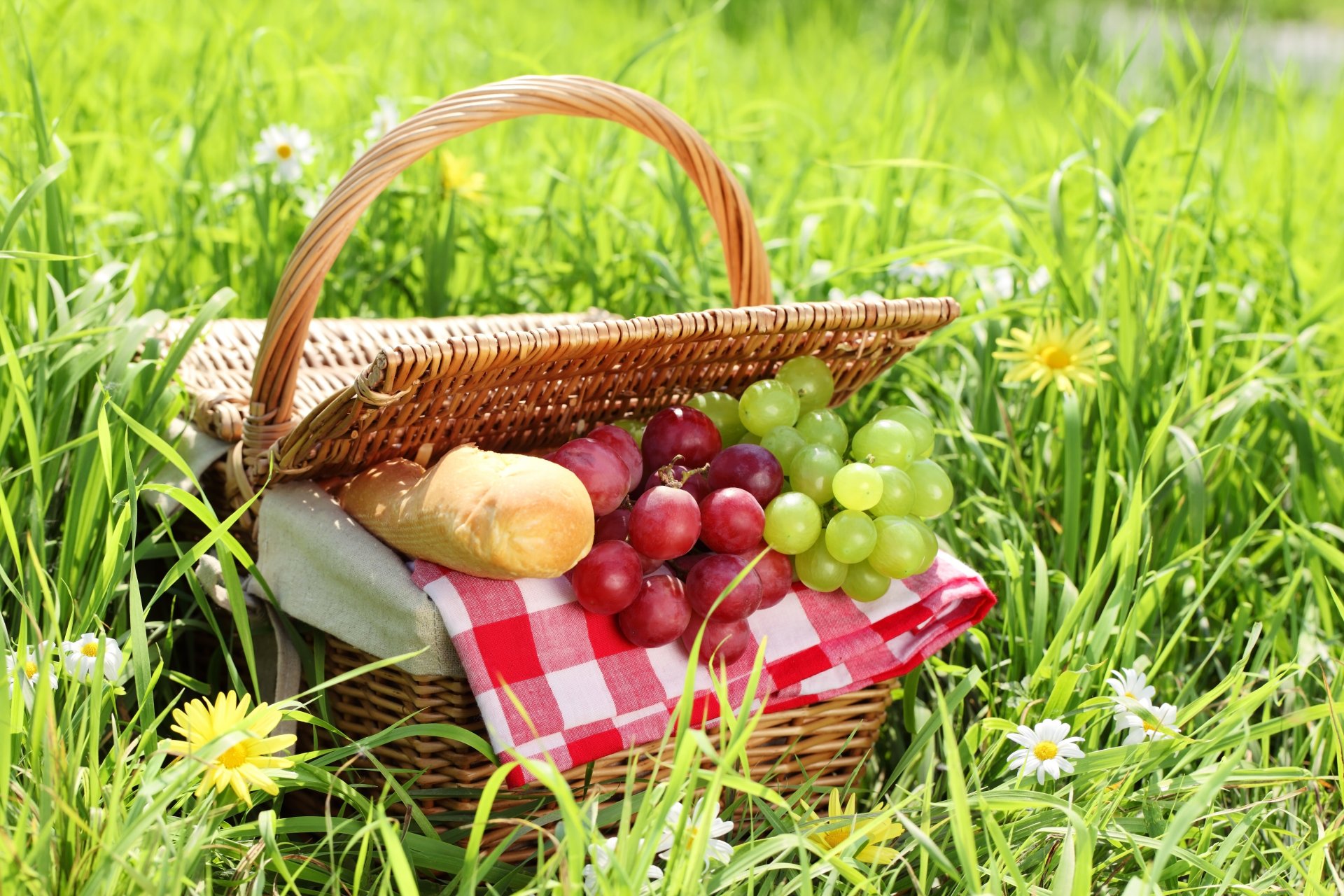 trauben brot laib korb gras gänseblümchen picknick sommer