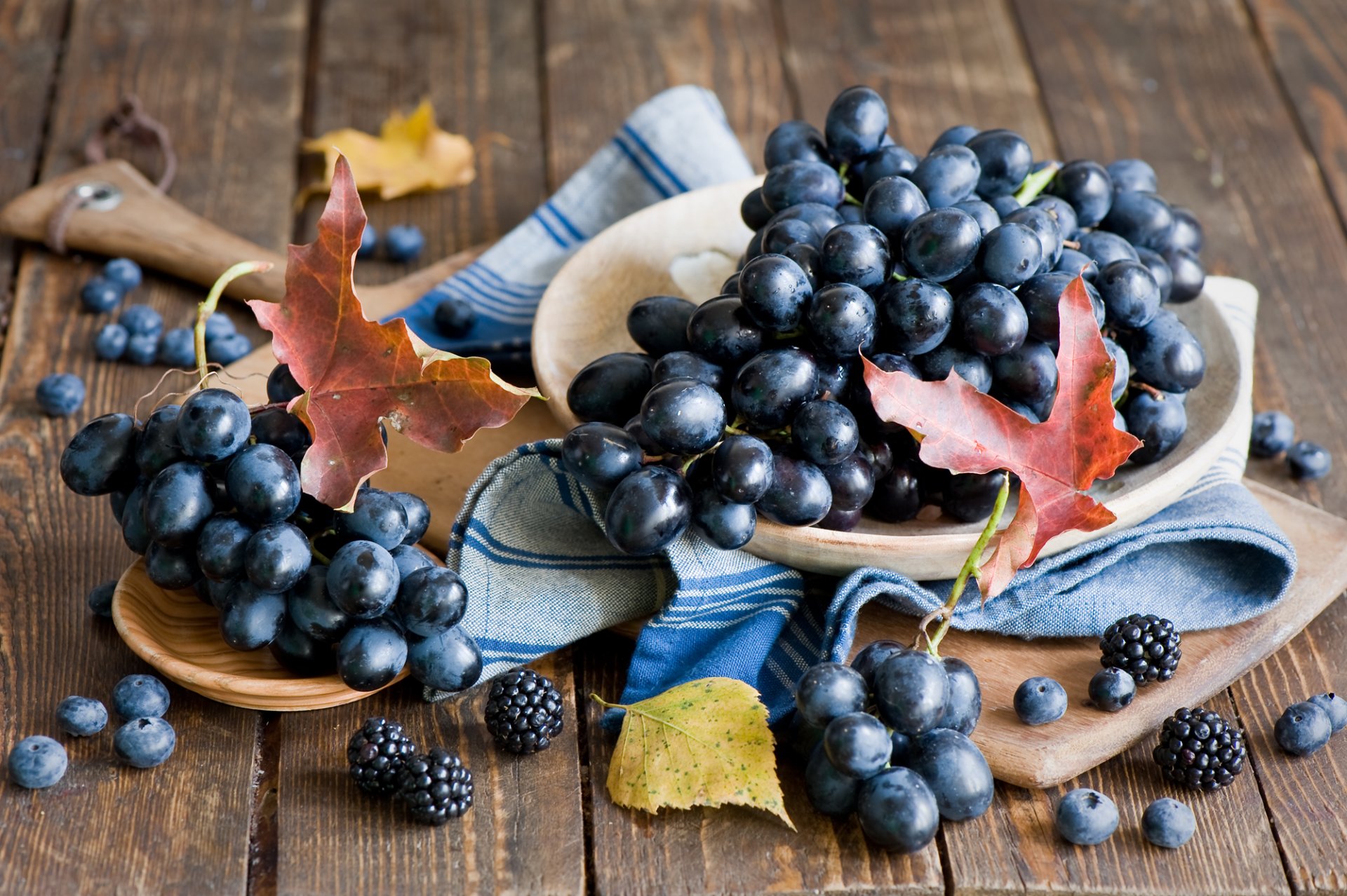 trauben rot blätter herbst ernte beeren heidelbeeren brombeeren stillleben anna verdina