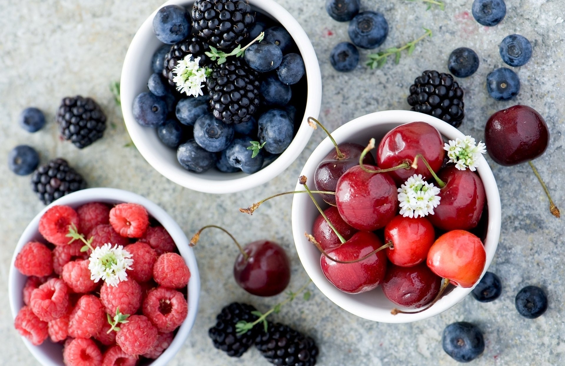 baies mûre myrtille framboise cerise été anna verdina