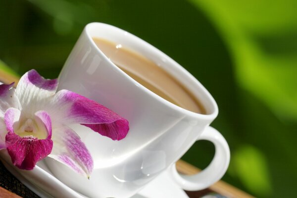 Tasse de café sur soucoupe avec fleur