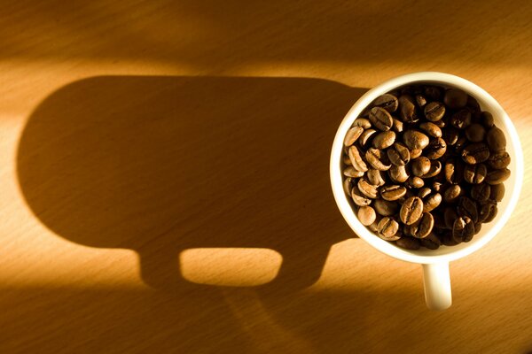 A cup of coffee casting a shadow