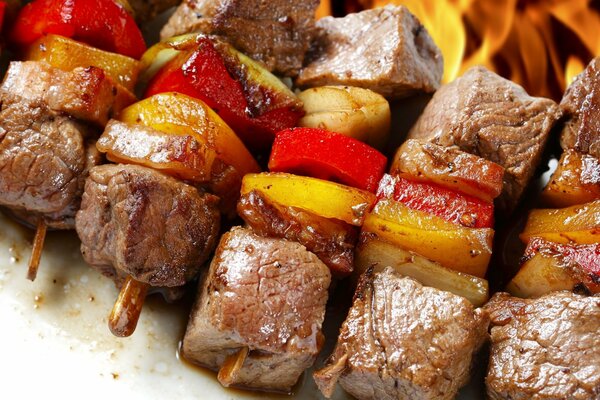 Viande rôtie sur un feu de camp avec des légumes