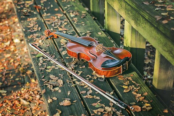 A cello lying alone on a bench