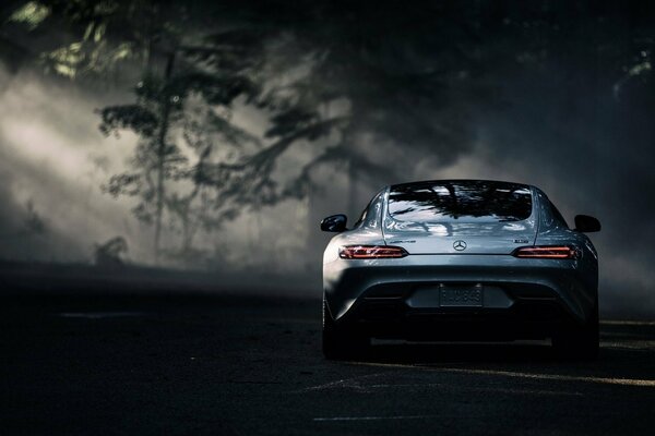 Coche de noche en el bosque con niebla