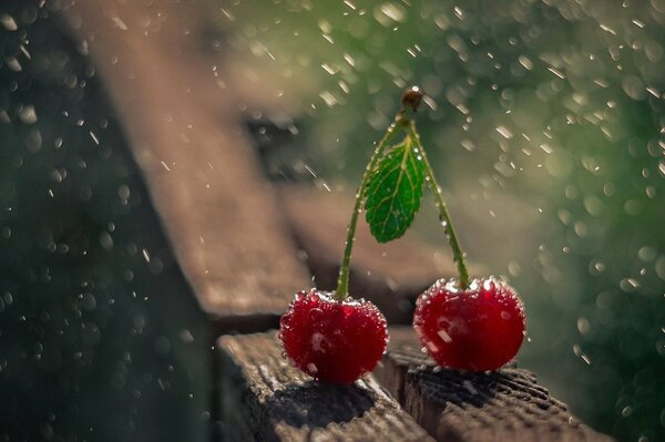 Riprese macro di ciliegie in caso di pioggia