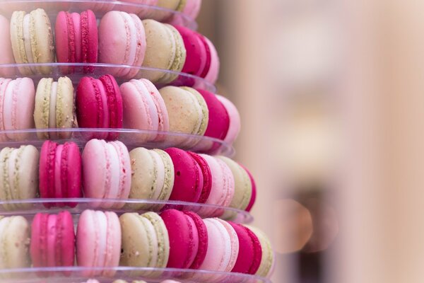 Beige and pink Parisian cakes