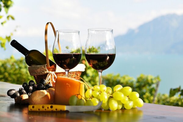 Deux verres avec du vin rouge et des grappes de raisin