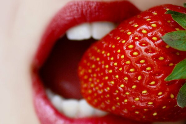 Strawberries on the background of beautiful scarlet lips