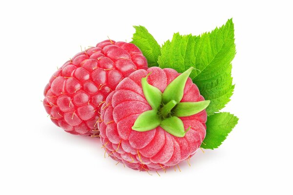 Zwei saftige süße Himbeeren