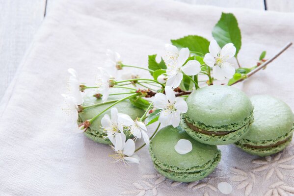 Pistachio macaroons and apple twig