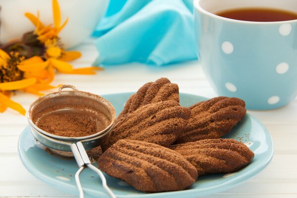 Pastries sprinkled with cocoa powder in a blue plate