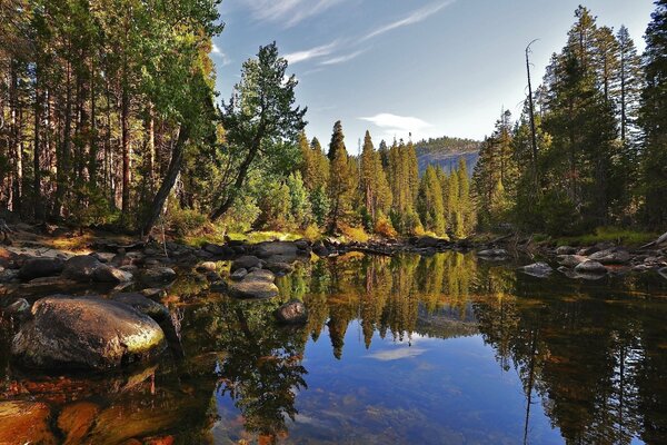 Naturaleza de bosques y lagos