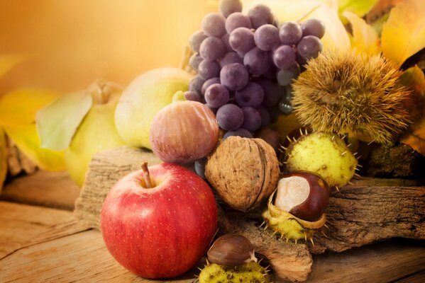 Herbst-Stillleben mit Früchten und Nüssen