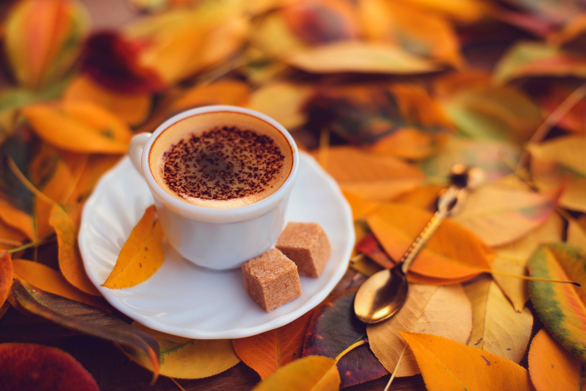 kaffee schaum schokolade tasse untertasse löffel zucker würfel blätter gelb herbst