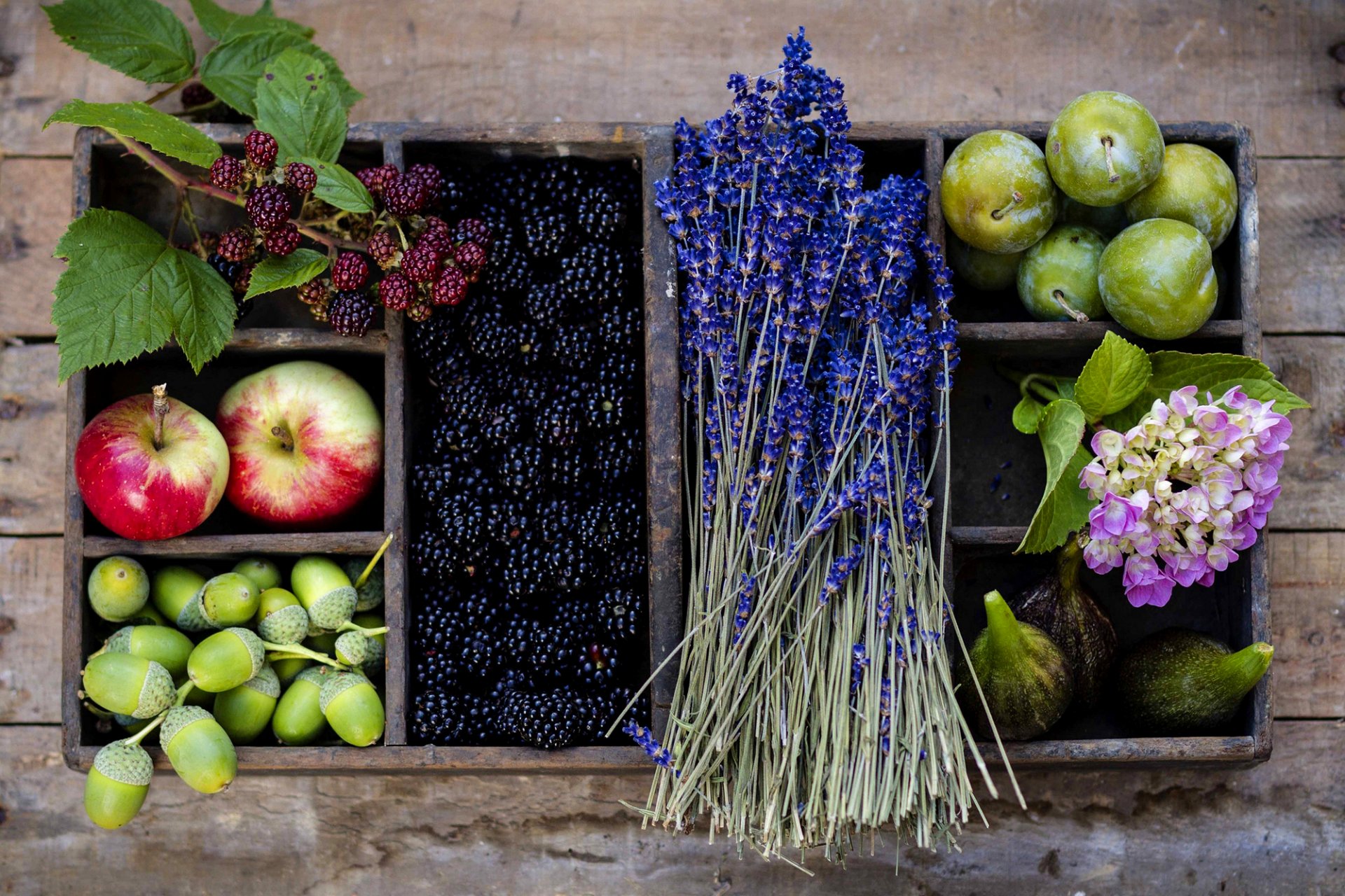 fruits pommes prunes baies mûres fleurs lavande panier glands automne