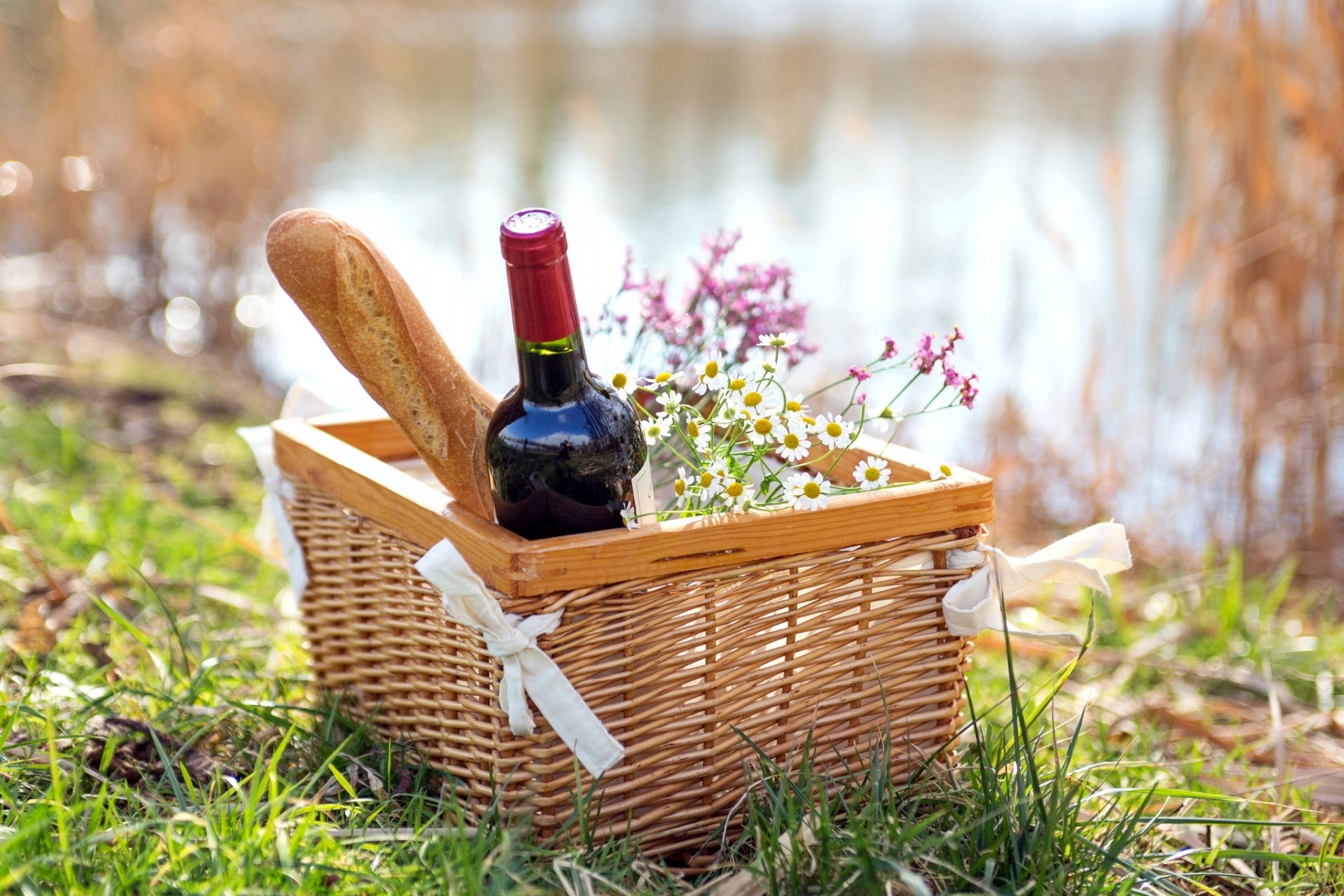 vino rosso bottiglia baguette margherite cesto picnic natura