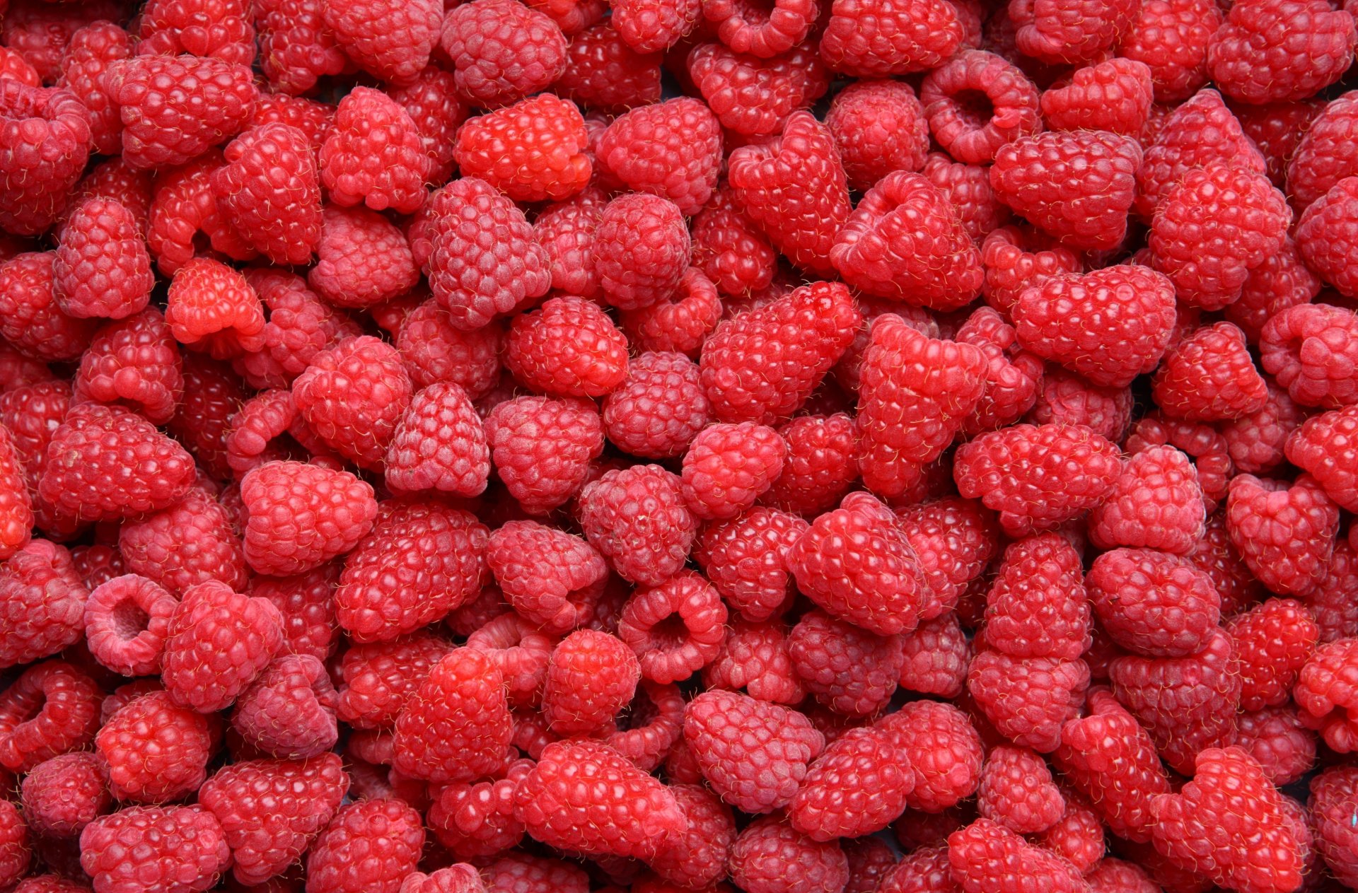 essen himbeeren beeren viel