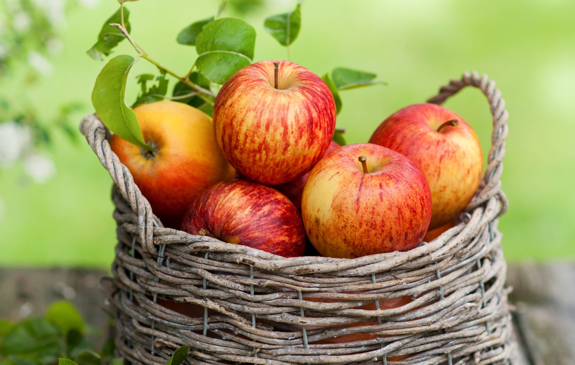 pommes feuilles panier fruits automne