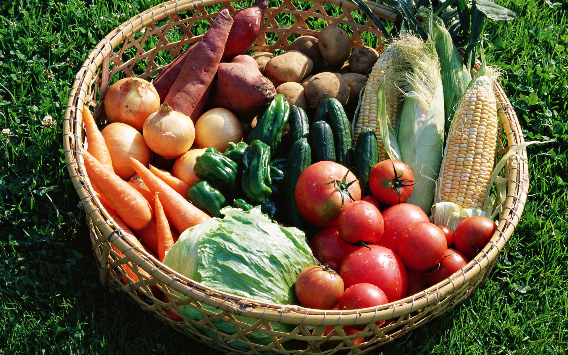 gemüse korb tomaten kohl gurken zwiebeln paprika kartoffeln karotten mais