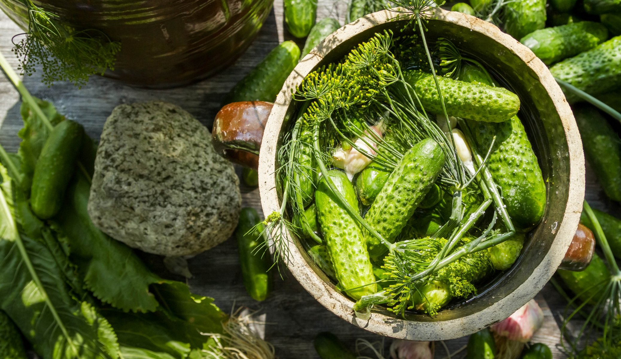 cucumbers salting of the blank