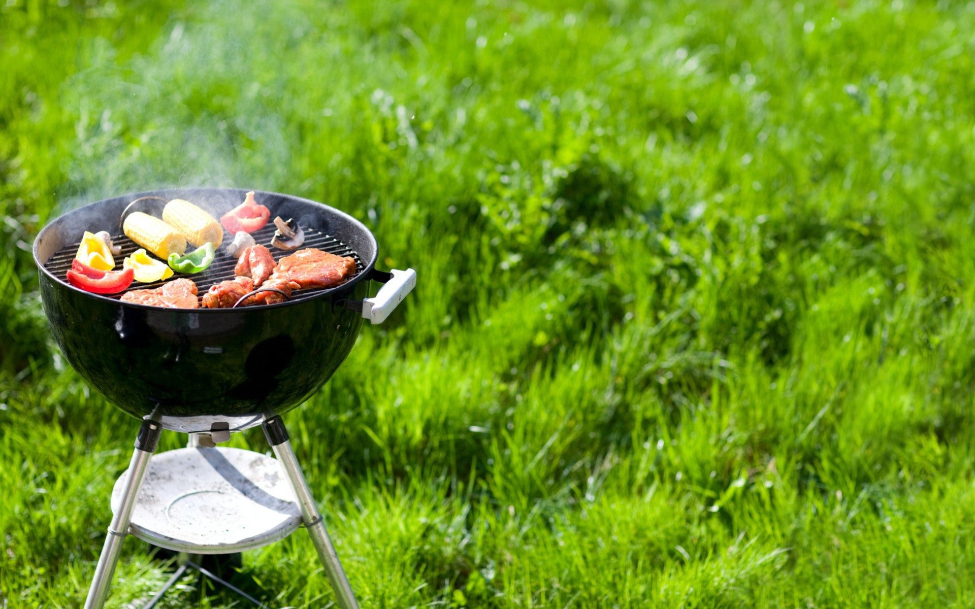 hintergrund gras picknick grillen natur urlaub