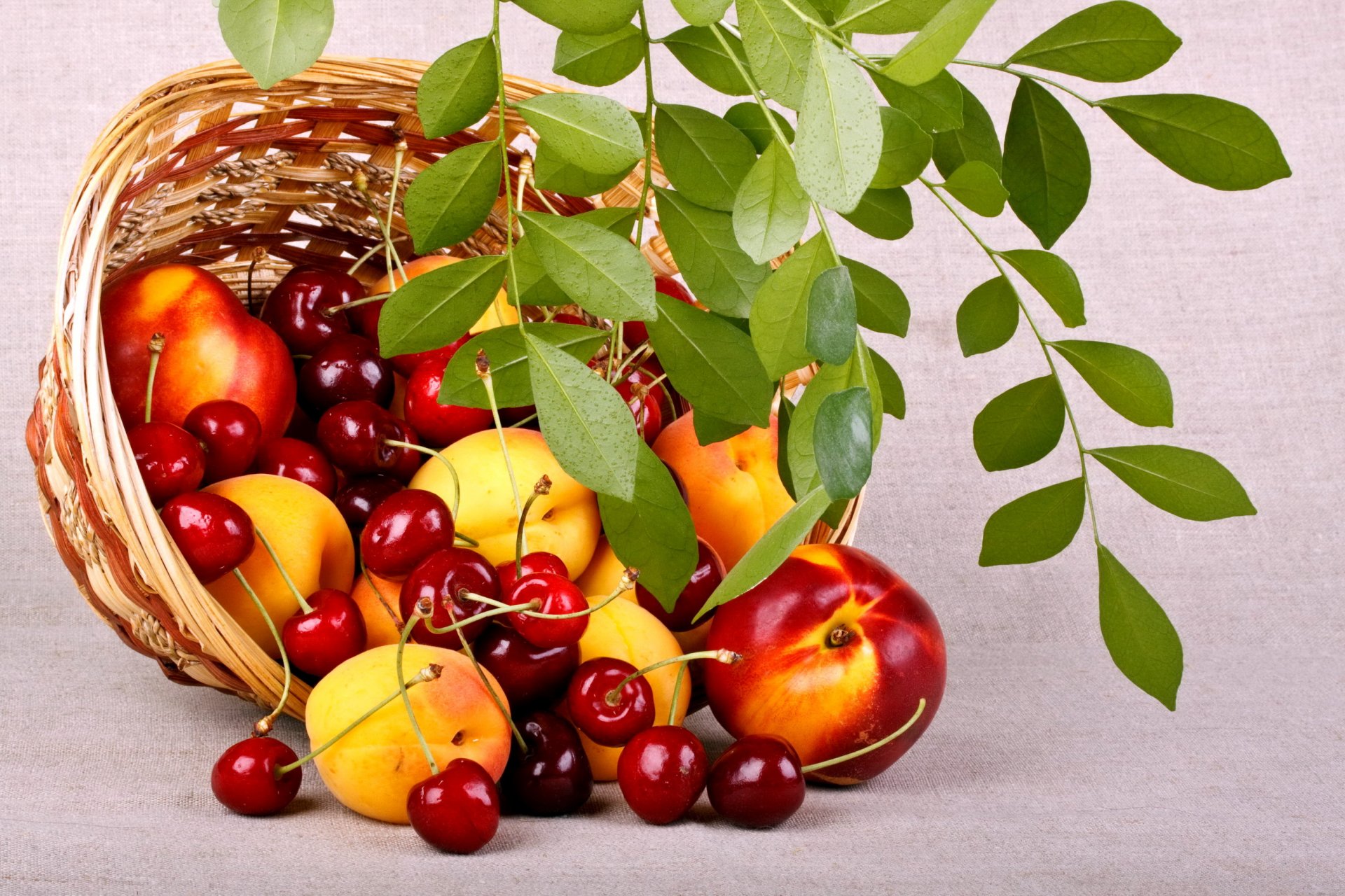 fruits baies repas pêches cerise panier panier été nature branche feuilles