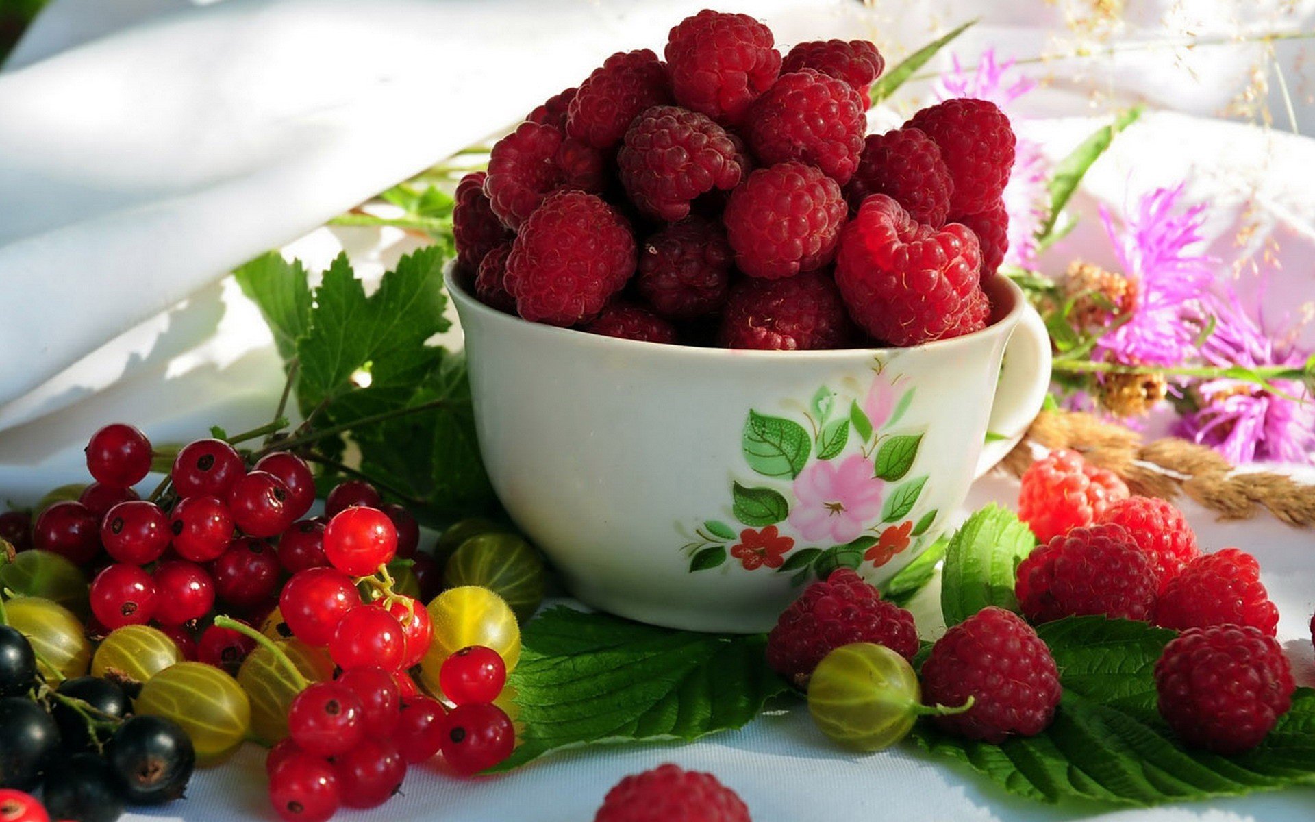 himbeeren rote johannisbeeren stachelbeeren beeren lecker