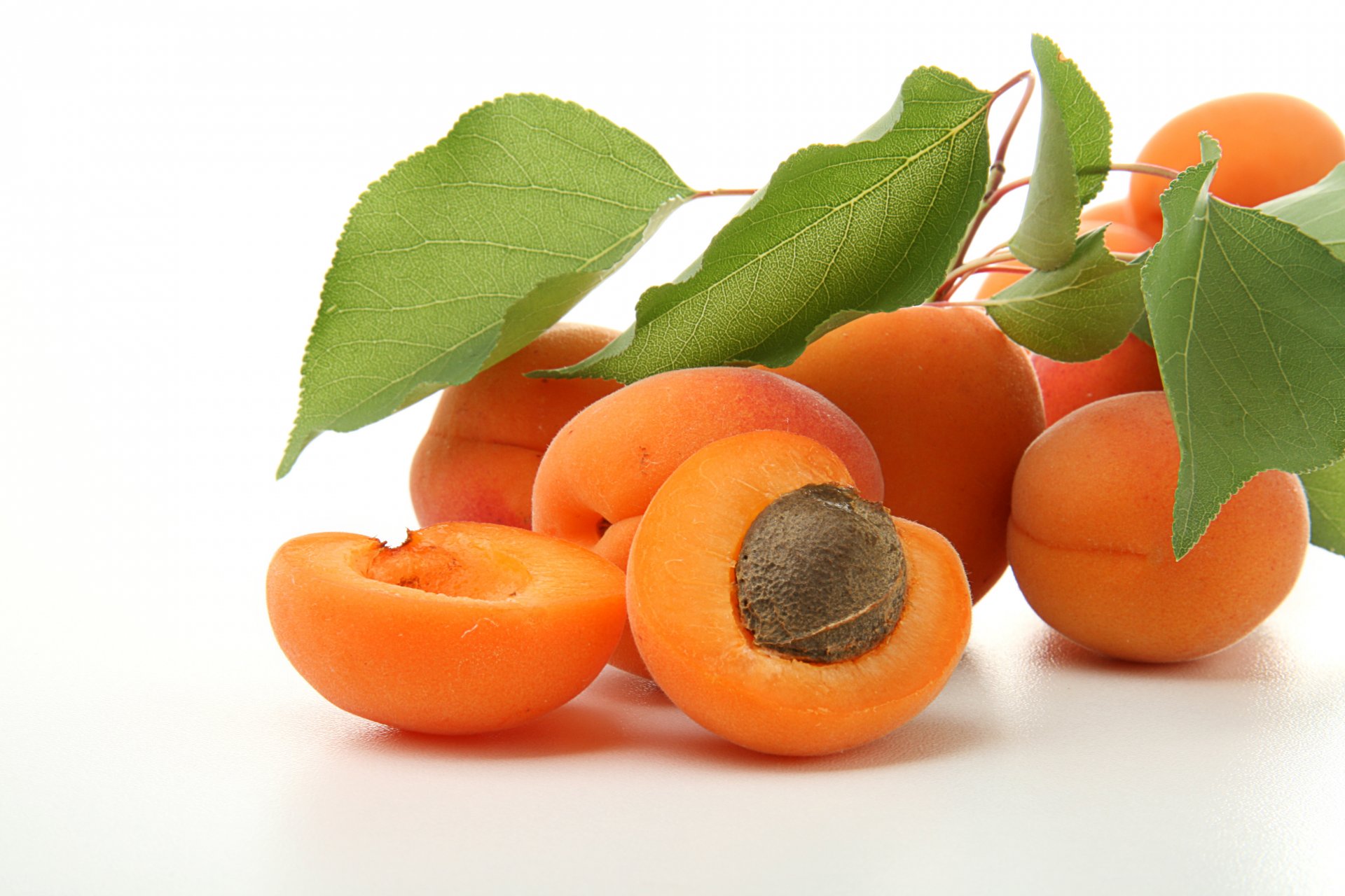 apricots fruits branch leaves bone