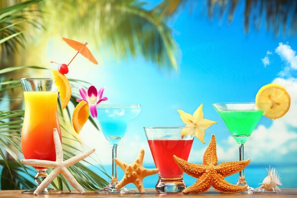 Bar avec cocktails et étoiles de mer