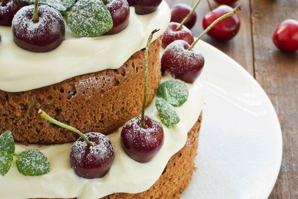 Sponge cake with cream and cherries in powdered sugar