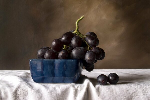 Still life grapes in a vase