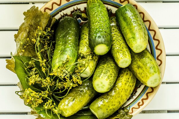 Concombres salés à l aneth dans une assiette