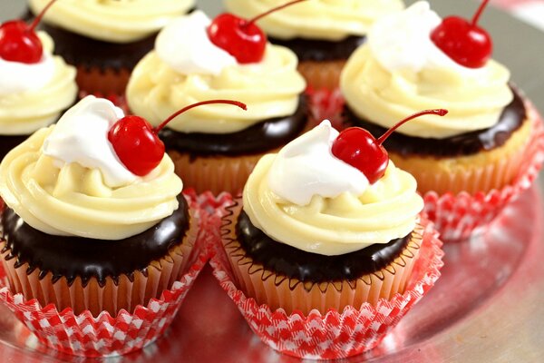 Schokoladen-Cupcakes mit Vanillecreme