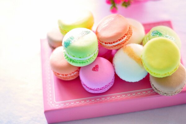 Bunte Macaron-Kekse in einer Box