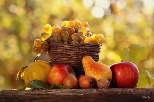 Naturaleza muerta con peras, manzanas y uvas