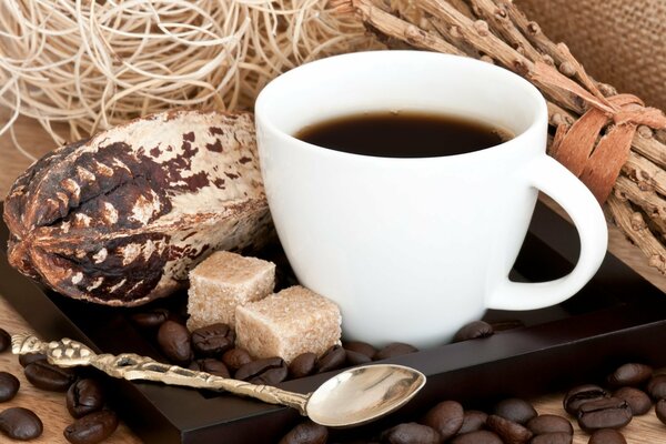 A cup of coffee on a brown saucer, in a scattering of coffee beans