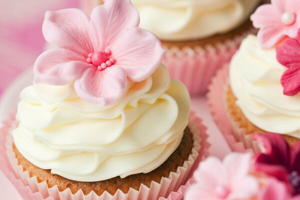 Pink Cream Cakes