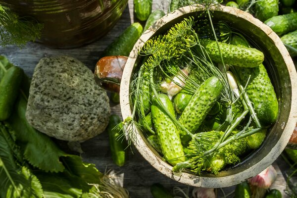 Concombres salés selon la recette traditionnelle