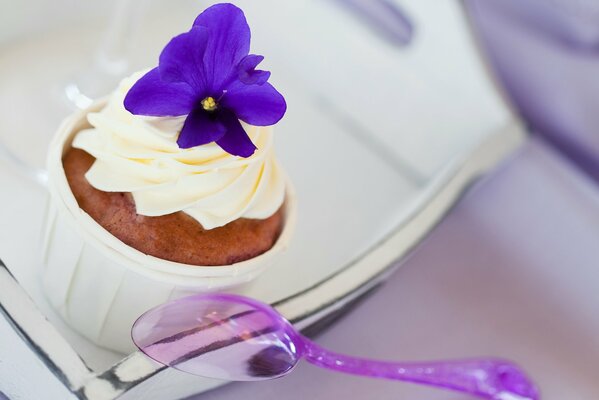 A cake with a purple flower on a tray